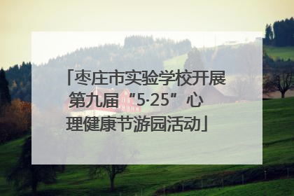 枣庄市实验学校开展第九届“5·25”心理健康节游园活动