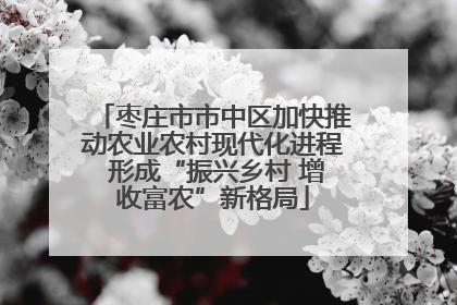 枣庄市市中区加快推动农业农村现代化进程 形成“振兴乡村 增收富农”新格局