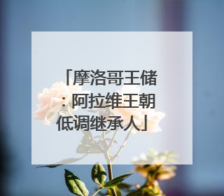 摩洛哥王储：阿拉维王朝低调继承人