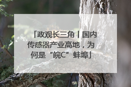 政观长三角丨国内传感器产业高地，为何是“皖C”蚌埠