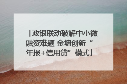 政银联动破解中小微融资难题 金塘创新“年报+信用贷”模式