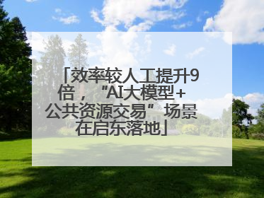 效率较人工提升9倍，“AI大模型+公共资源交易”场景在启东落地