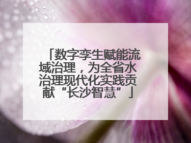 数字孪生赋能流域治理，为全省水治理现代化实践贡献“长沙智慧”