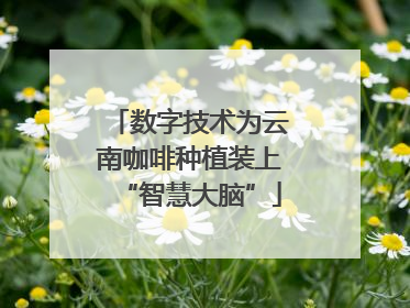 数字技术为云南咖啡种植装上“智慧大脑”