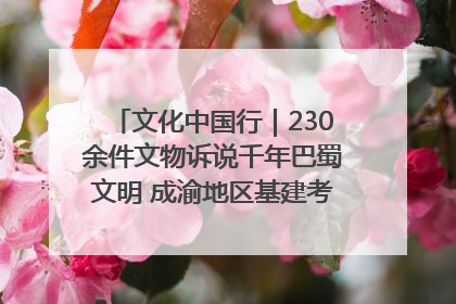 文化中国行｜230余件文物诉说千年巴蜀文明 成渝地区基建考古成果展开展