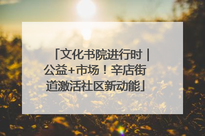 文化书院进行时｜公益+市场！辛店街道激活社区新动能