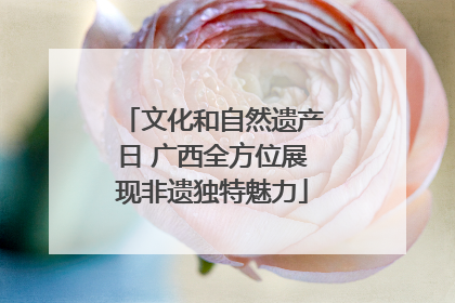 文化和自然遗产日 广西全方位展现非遗独特魅力