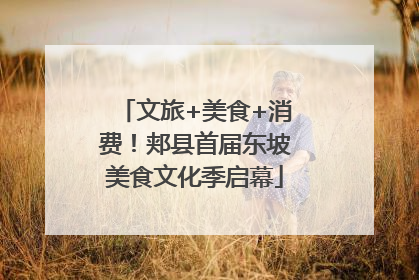 文旅+美食+消费！郏县首届东坡美食文化季启幕