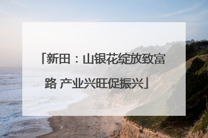 新田：山银花绽放致富路 产业兴旺促振兴