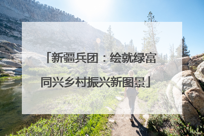 新疆兵团：绘就绿富同兴乡村振兴新图景