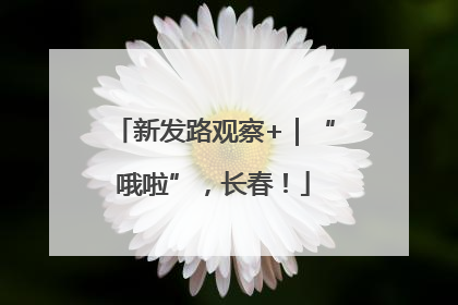 新发路观察+｜“哦啦”，长春！