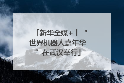 新华全媒+丨“世界机器人嘉年华”在武汉举行