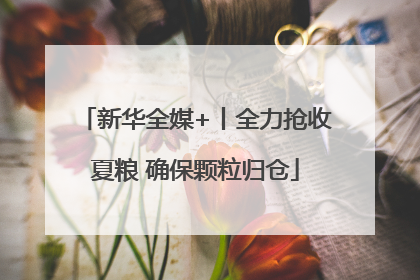 新华全媒+丨全力抢收夏粮 确保颗粒归仓