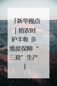 新华视点｜抢农时 护丰收 多维度保障“三夏”生产