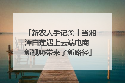 新农人手记⑤丨当湘潭白莲遇上云端电商 新视野带来了新路径