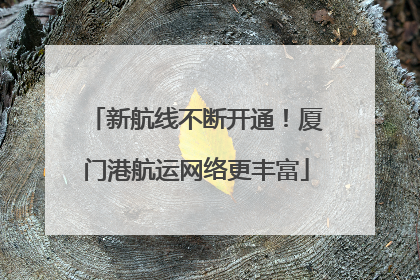 新航线不断开通！厦门港航运网络更丰富