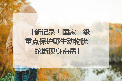 新记录！国家二级重点保护野生动物脆蛇蜥现身南岳