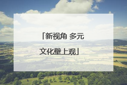 新视角 多元文化壁上观