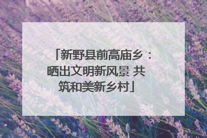 新野县前高庙乡：晒出文明新风景 共筑和美新乡村