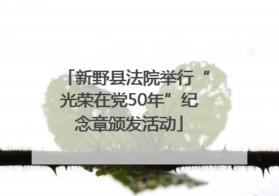新野县法院举行“光荣在党50年”纪念章颁发活动