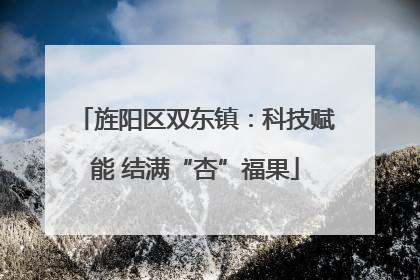 旌阳区双东镇：科技赋能 结满“杏”福果
