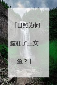 日照为何瞄准了三文鱼？