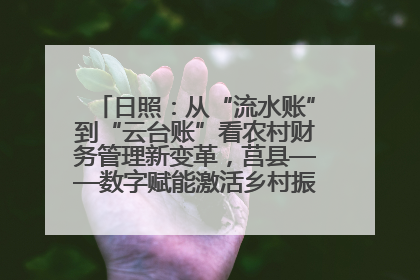 日照：从“流水账”到“云台账”看农村财务管理新变革，莒县——数字赋能激活乡村振兴“一池春水”