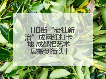旧街“老社新治”成网红打卡地 成都把艺术展搬到街头