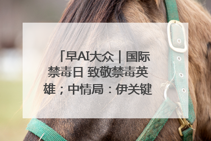 早AI大众｜国际禁毒日 致敬禁毒英雄；中情局：伊关键核设施被摧毁
