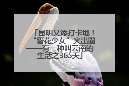 昆明又添打卡地！“簪花少女”火出圈——有一种叫云南的生活之365天