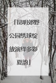 昆明郊野公园绣球绽放演绎多彩夏韵