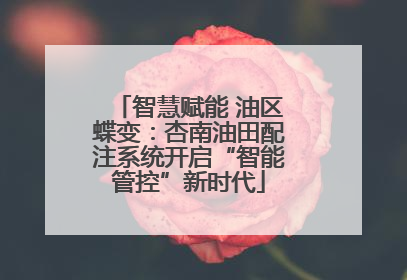 智慧赋能 油区蝶变：杏南油田配注系统开启“智能管控”新时代