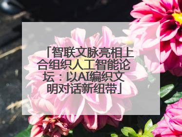 智联文脉亮相上合组织人工智能论坛：以AI编织文明对话新纽带