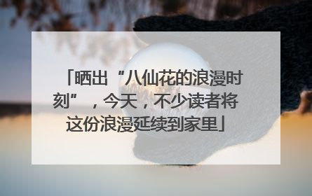晒出“八仙花的浪漫时刻”，今天，不少读者将这份浪漫延续到家里