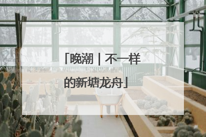 晚潮｜不一样的新塘龙舟