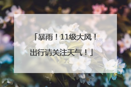 暴雨！11级大风！出行请关注天气！