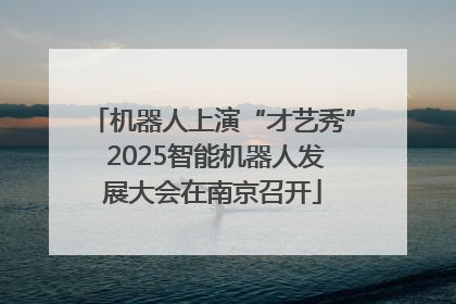 机器人上演“才艺秀” 2025智能机器人发展大会在南京召开