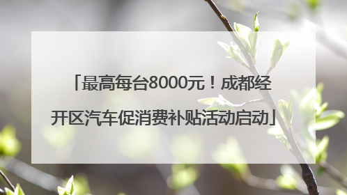 最高每台8000元！成都经开区汽车促消费补贴活动启动