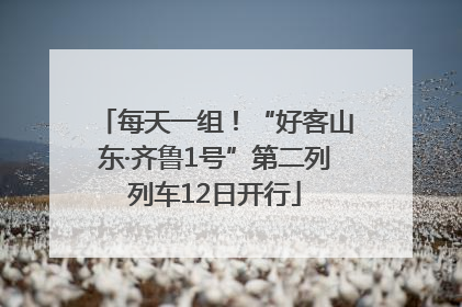 每天一组！“好客山东·齐鲁1号”第二列列车12日开行