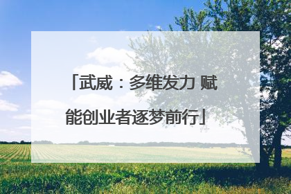 武威：多维发力 赋能创业者逐梦前行