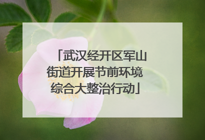 武汉经开区军山街道开展节前环境综合大整治行动
