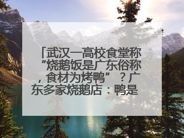 武汉一高校食堂称“烧鹅饭是广东俗称，食材为烤鸭”？广东多家烧鹅店：鸭是鸭鹅是鹅