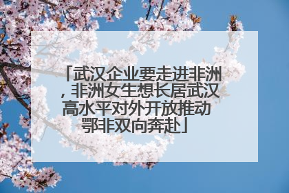 武汉企业要走进非洲，非洲女生想长居武汉 高水平对外开放推动鄂非双向奔赴