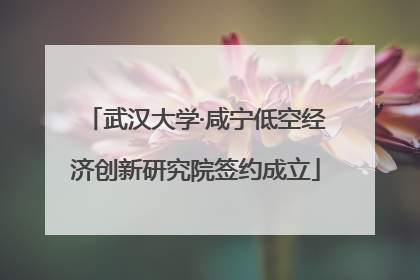 武汉大学·咸宁低空经济创新研究院签约成立