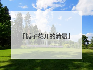 栀子花开的清晨