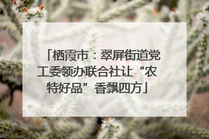 栖霞市：翠屏街道党工委领办联合社让“农特好品”香飘四方