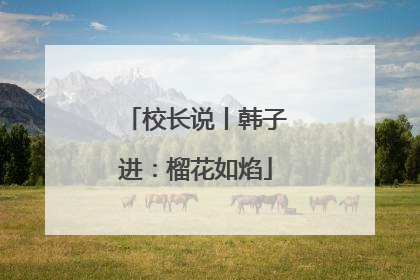 校长说丨韩子进：榴花如焰