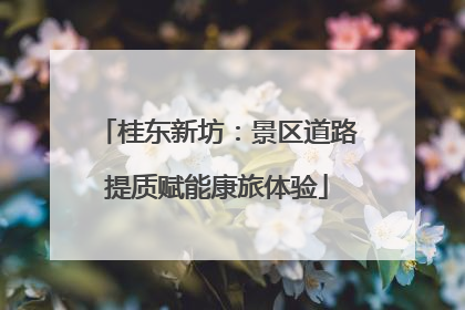 桂东新坊：景区道路提质赋能康旅体验
