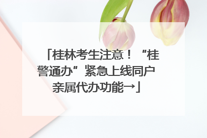 桂林考生注意！“桂警通办”紧急上线同户亲属代办功能→