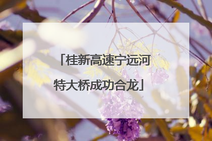 桂新高速宁远河特大桥成功合龙